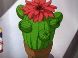 Yōkai Cactus