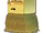 Kakashigami