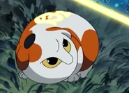 Sunekosuri (Okayama)