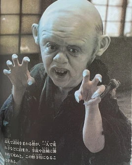 The Great Yōkai War