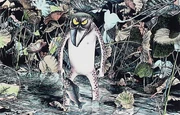 Mintsuchi illustration.