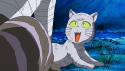 Neko-Shō | GeGeGe no Kitarō Wiki | Fandom