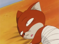 Konta | GeGeGe no Kitarō Wiki | Fandom