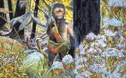Illustration of Sasquatch by .