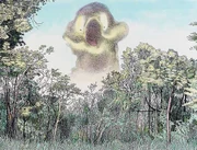 Shidaidaka Illustration