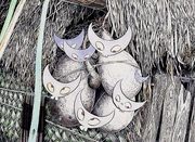 Illustration of Atarin by .