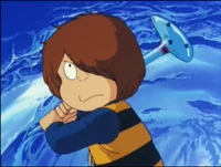 The Ocarina used as a hammer.