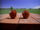 Apples