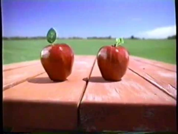 Sensible alternative apples