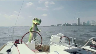 Gecko journey baltimore