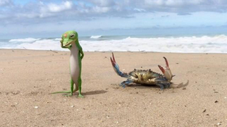 Helzberg at the beach Geico Wiki Fandom