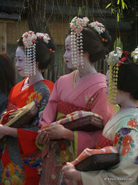 Geisha-kimono-1.jpg