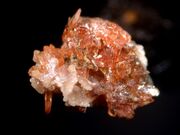 Sarkinite real