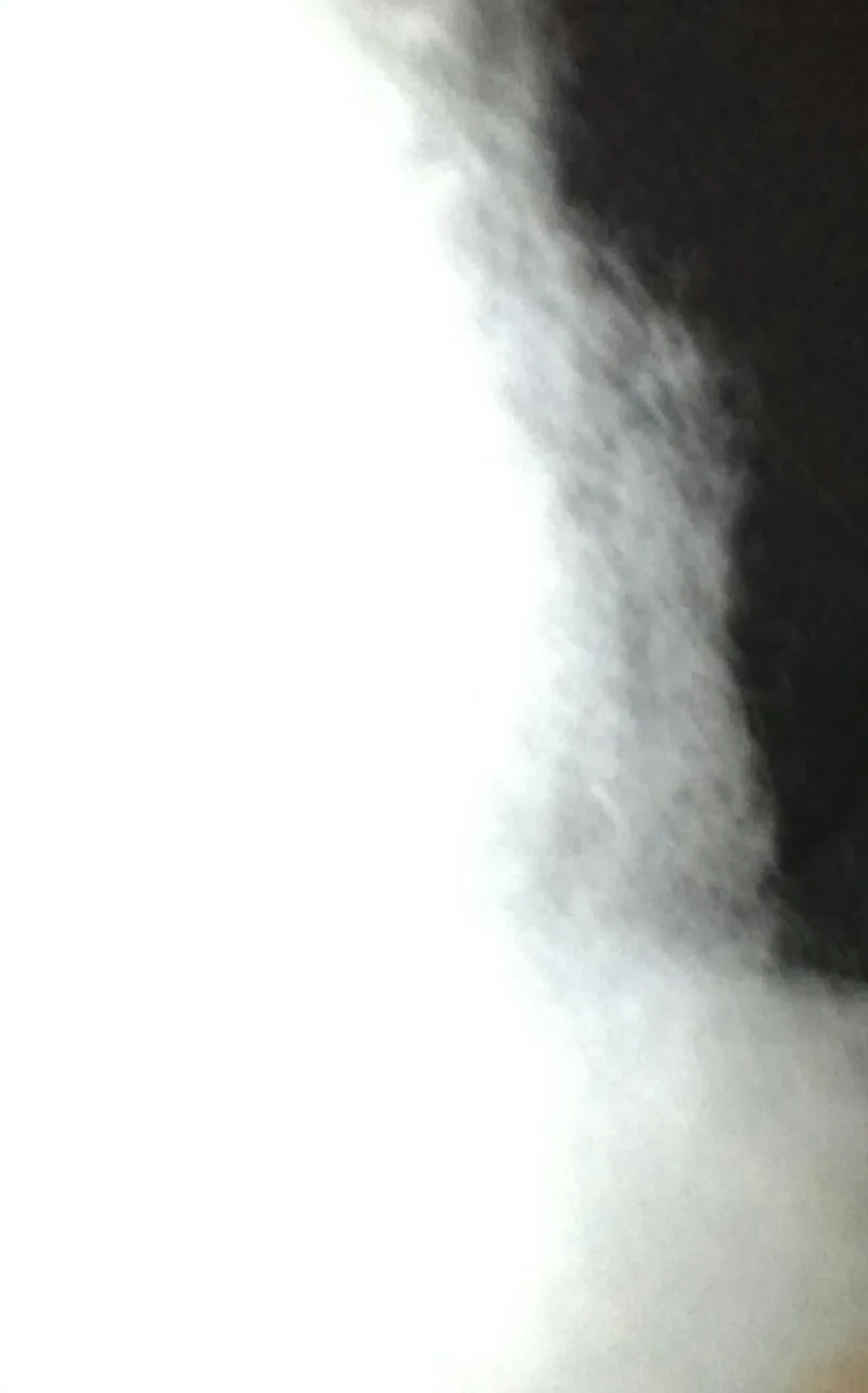 Fake Snow Gemipedia Wiki Fandom