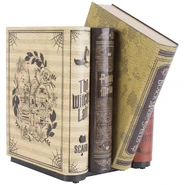 10718220 2.jpeg (414 KB) Haunted Books (Michael's 2023 model)