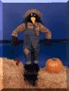 Outdoor Decorative "Crow" Scarecrow