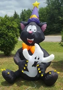 Black Cat holding a Ghost