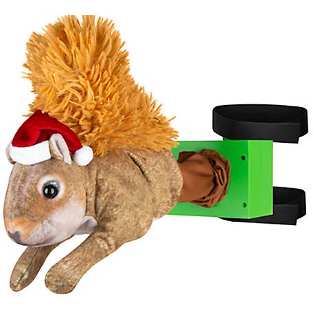 Animated Squirrel Toy