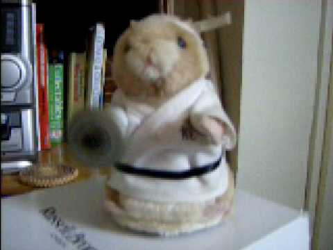 Gemmy kung fu hamster 2025