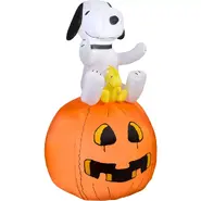 Snoopy and Woodstock on Pumpkin