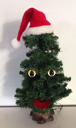 Douglas Fir The Talking Christmas Tree