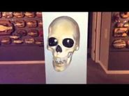 Dropping Skull with removed hair.