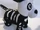 Ear Flapping Skeleton Dog