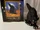 Black Cat with Lights and Sound