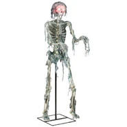 Unreleased Life Size Swamp Skeleton