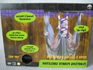 2006 Pirate Box