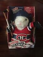 Montreal Canadians Hamster