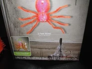 Dropping Spider-Orange