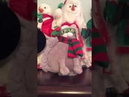 Epic Kitty grey with red and green scarf version in action