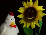 Cornelius with Sunny The Singing Sunflower in Baby Bach