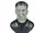 Animated Frankenstein Bust
