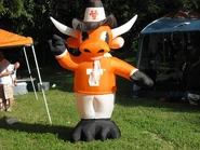 Texas Longhorns mascot