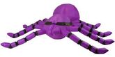 purple spider