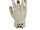 Crawling Mummy Hand