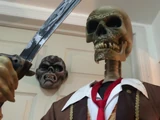 Life Size Skeleton Pirate Captain