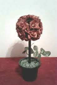 IMG 051