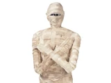 Life Size Mummy