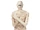 Life Size Mummy