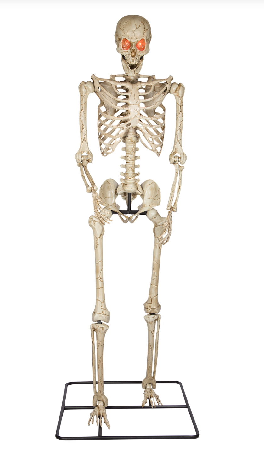 Skeleton Base Phantom Glow Amon 約30cm Skeleton Base Phantom Glow Amon 約30cm Skeleton Base Phantom