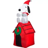 Snoopy on Dog House