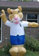 Kentucky Wildcats mascot