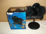 The Black Raven