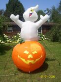 Ghost on a pumpkin (RARE)
