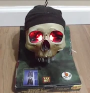 Hooded Half Skull in box