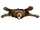 Bud the Talking Bear Skin Rug