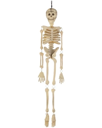 Mr Bone Jangles Gemmy Wiki Fandom mr bone jangles gemmy wiki fandom